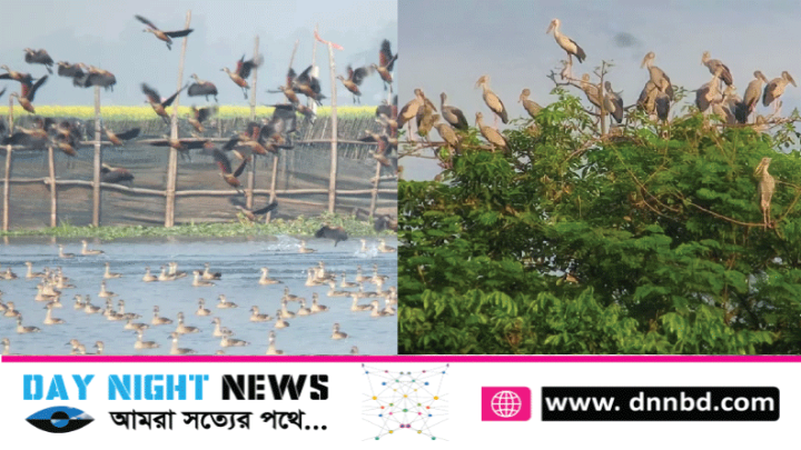 অস্তিত্ব সংকটে অতিথি পাখি শামখোল অভয়ারণ্য ধ্বংসের চেষ্টা